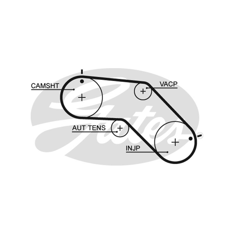 Cinghia/catena distribuzione - GATES