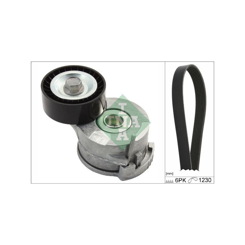 Tendicinghia trapezoidale - INA