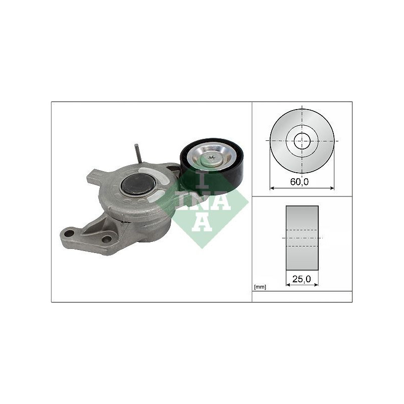 Tendicinghia trapezoidale - INA