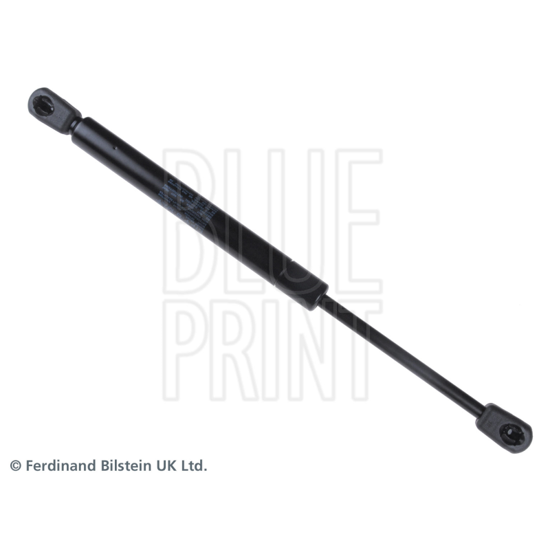 Pistoncino ammortizzatore - BLUE PRINT