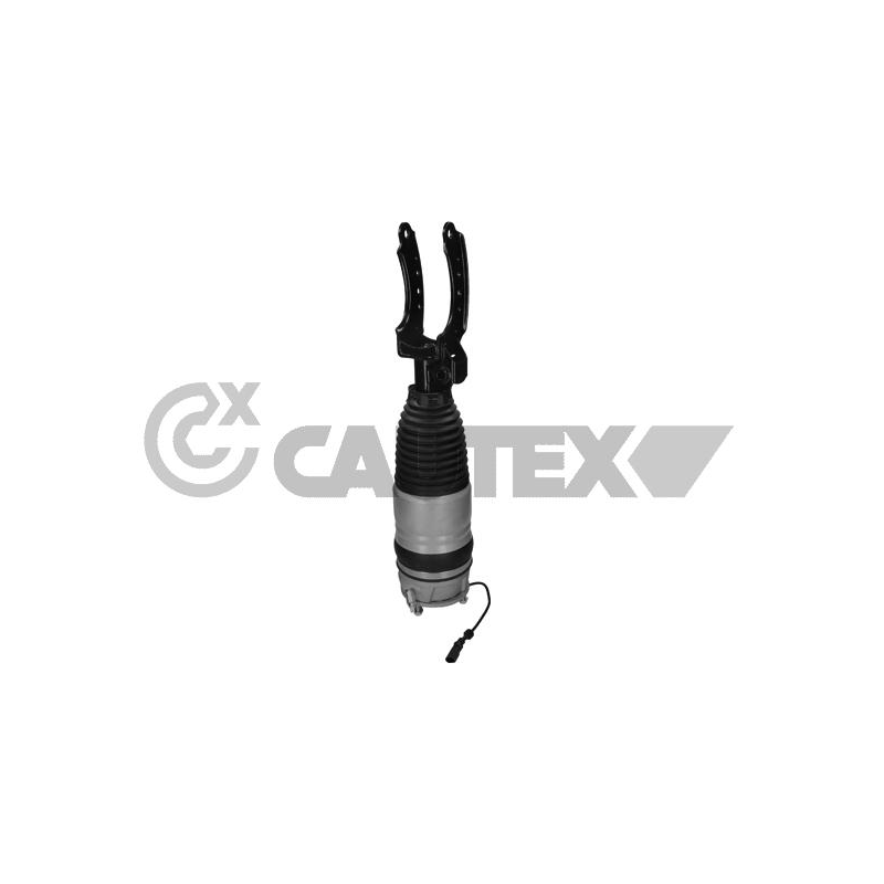 Ammortizzatore asse anteriore - CAUTEX GOMMA E PARTI MOTORE