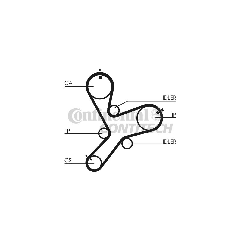Cinghia/catena distribuzione - CONTITECH