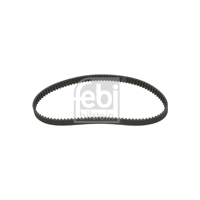 Cinghia/catena distribuzione - FEBI