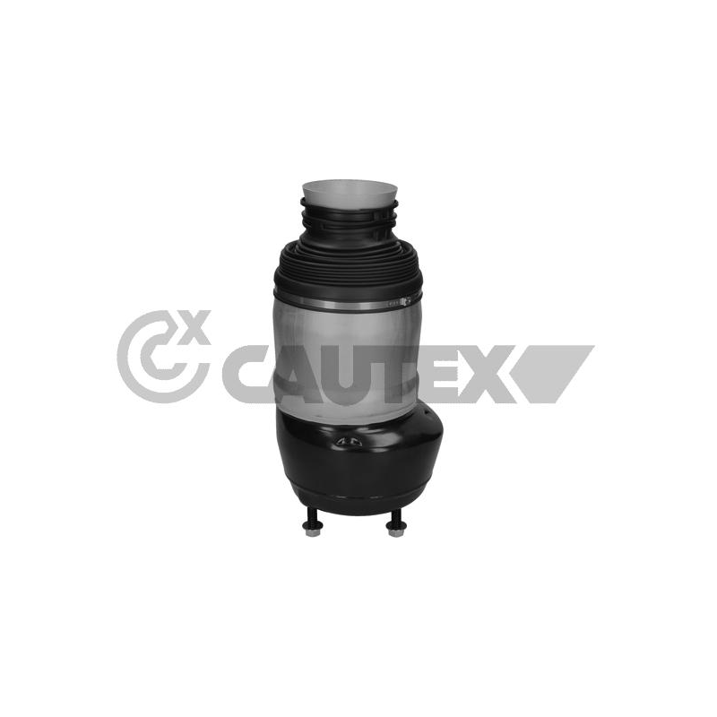 Ammortizzatore asse anteriore - CAUTEX GOMMA E PARTI MOTORE