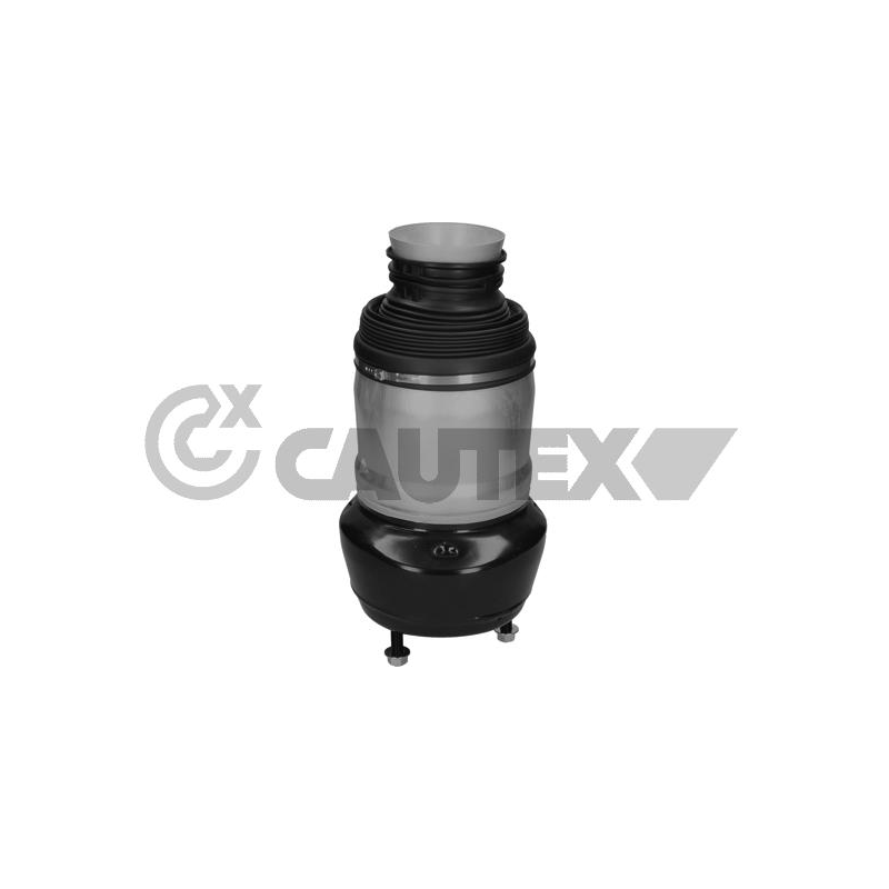 Ammortizzatore asse anteriore - CAUTEX GOMMA E PARTI MOTORE