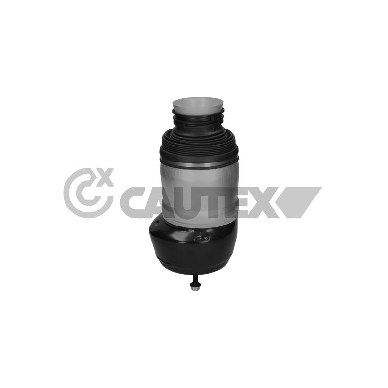 Ammortizzatore asse anteriore - CAUTEX GOMMA E PARTI MOTORE