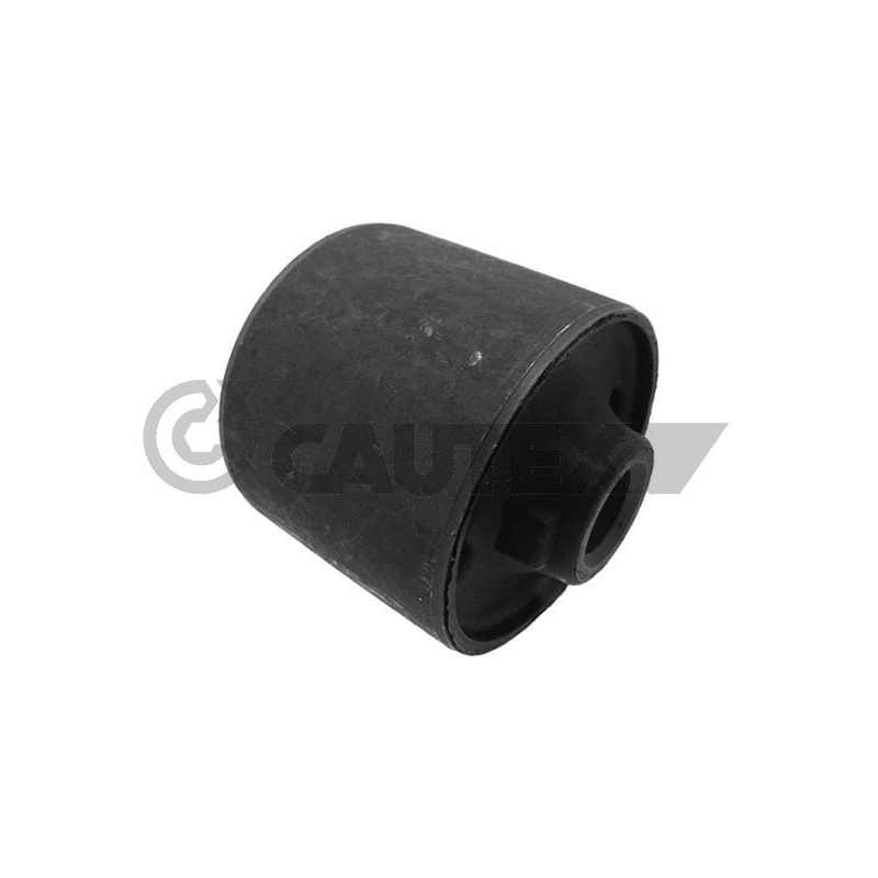 Braccio oscillante asse posteriore - CAUTEX GOMMA E PARTI MOTORE