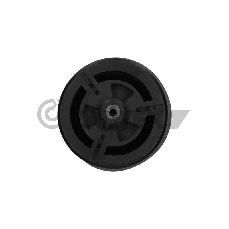 Molla sospensione asse posteriore - CAUTEX GOMMA E PARTI MOTORE