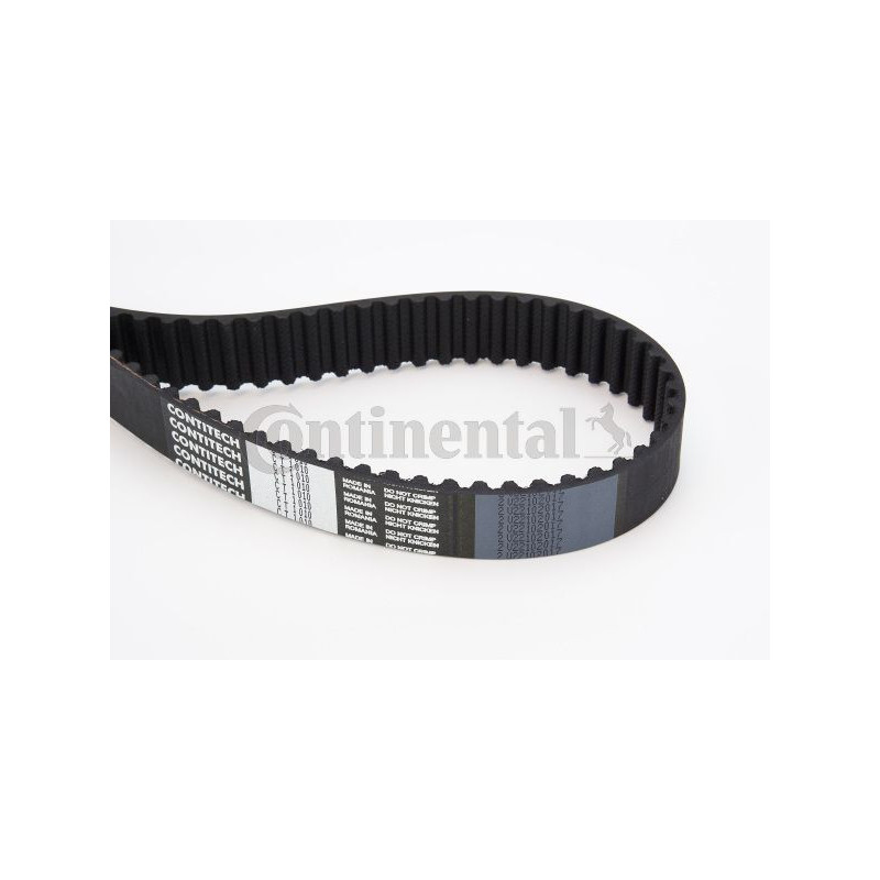 Cinghia/catena distribuzione - CONTITECH