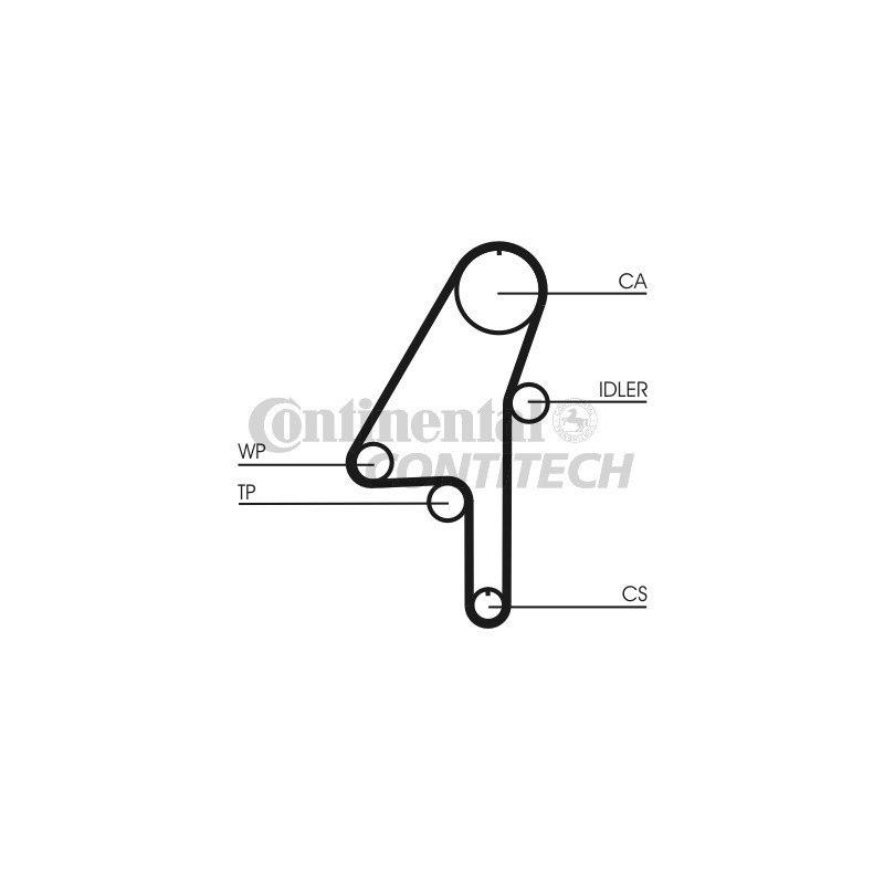 Cinghia/catena distribuzione - CONTITECH