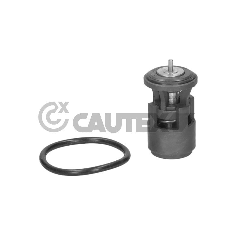 Termostato raffreddamento - CAUTEX GOMMA E PARTI MOTORE