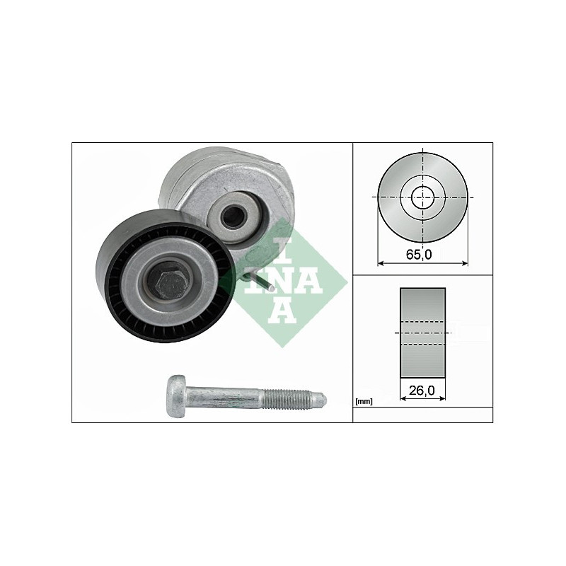 Tendicinghia trapezoidale - INA