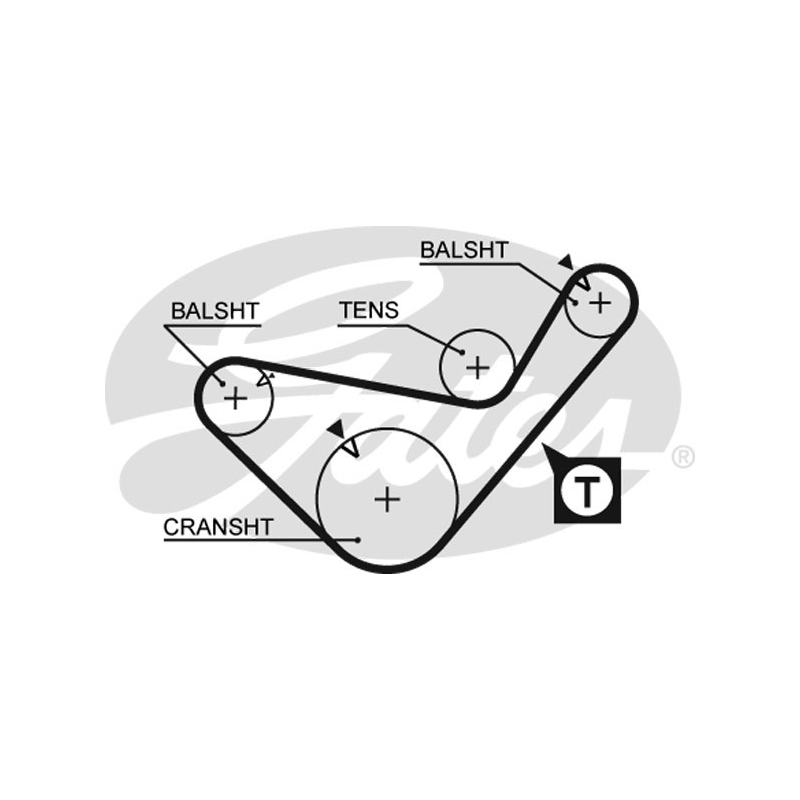 Cinghia/catena distribuzione - GATES