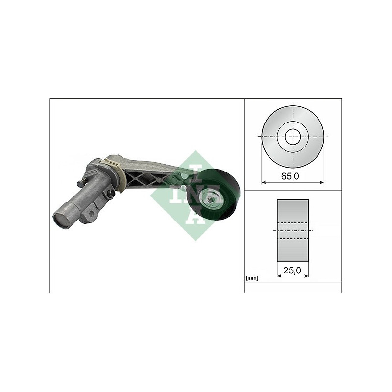 Tendicinghia trapezoidale - INA