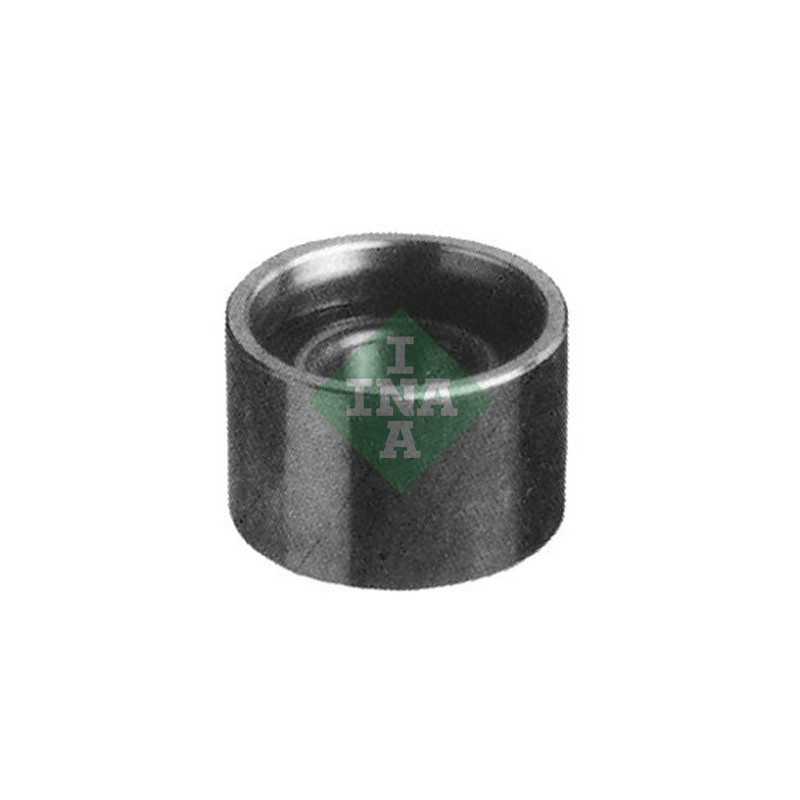 Tendicinghia distribuzione - INA