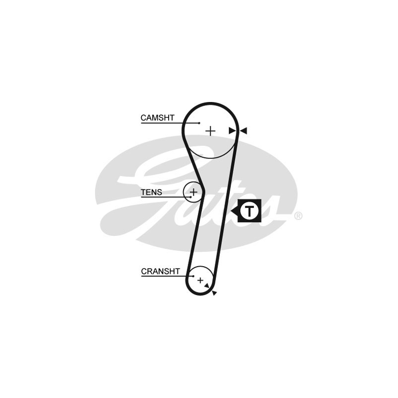 Cinghia/catena distribuzione - GATES