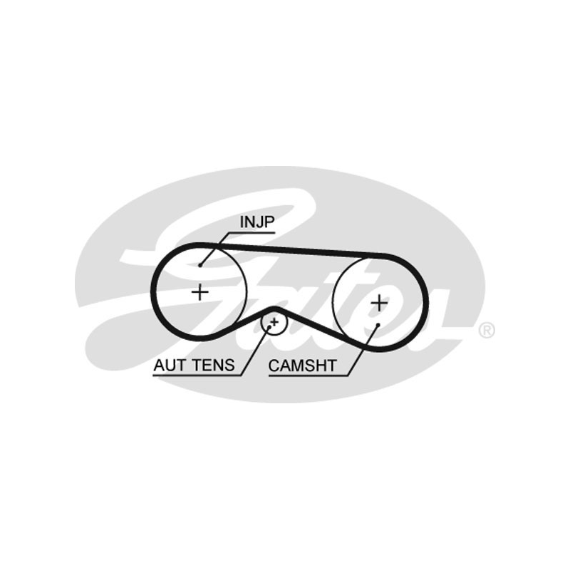 Cinghia/catena distribuzione - GATES