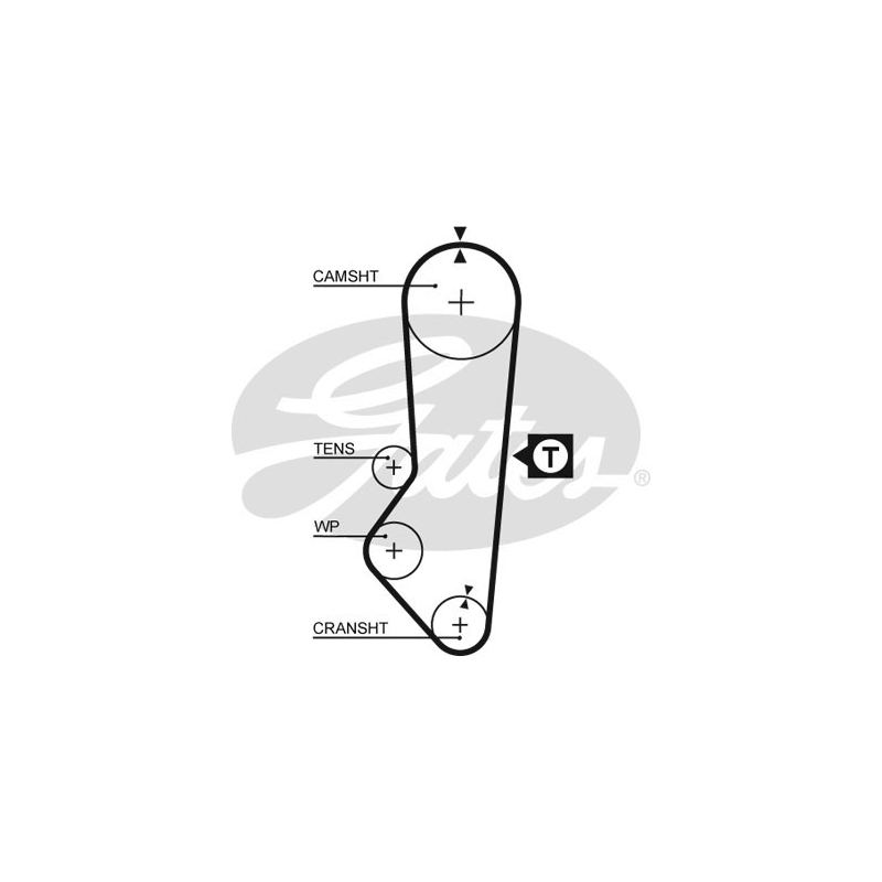 Cinghia/catena distribuzione - GATES
