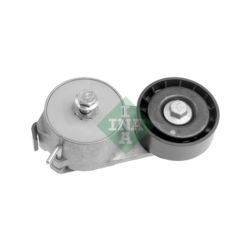 Tendicinghia trapezoidale - INA