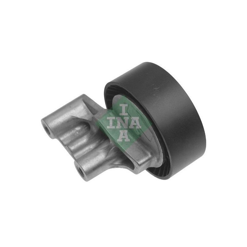 Tendicinghia trapezoidale - INA