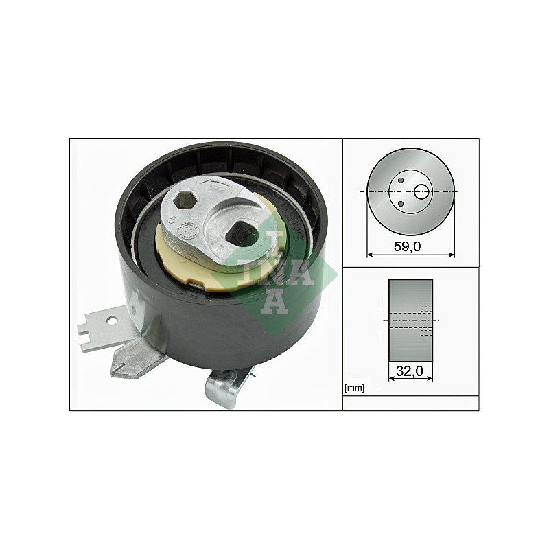 Tendicinghia distribuzione - INA