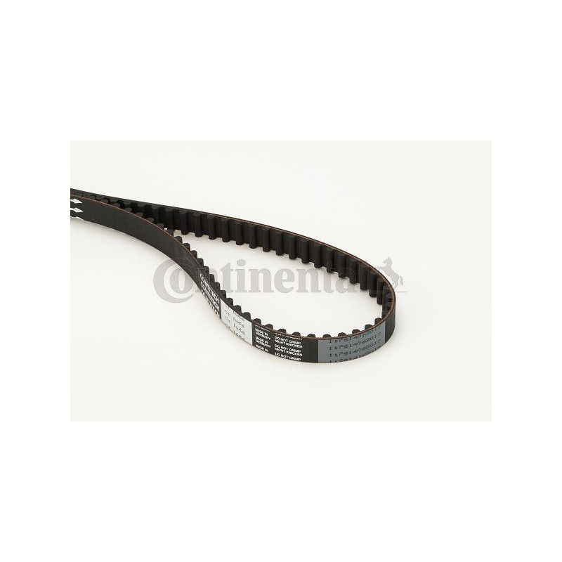 Cinghia/catena distribuzione - CONTITECH