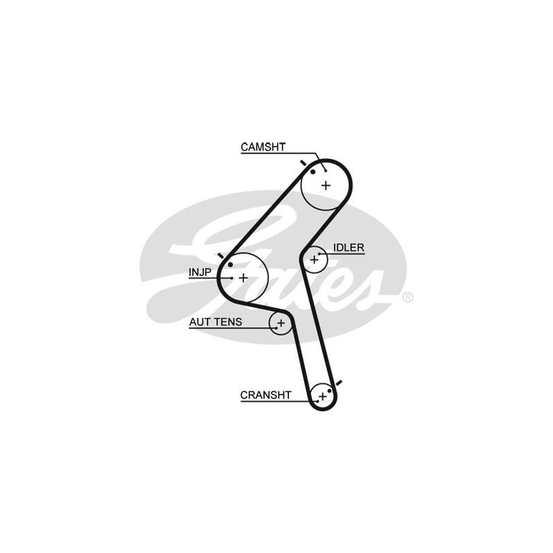 Kit distribuzione - GATES