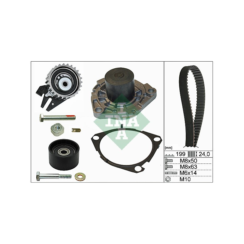 Cinghia/catena distribuzione - INA