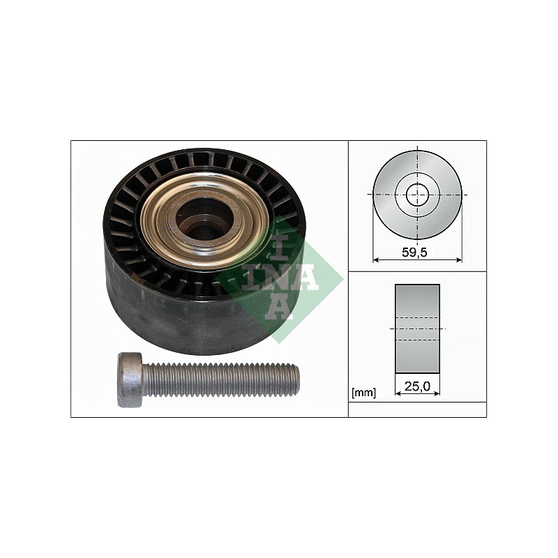 Tendicinghia trapezoidale - INA