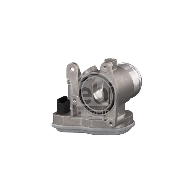 Corpo farfallato - FEBI