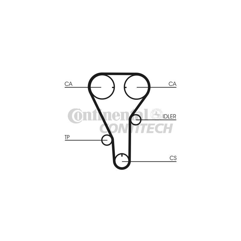 Cinghia/catena distribuzione - CONTITECH
