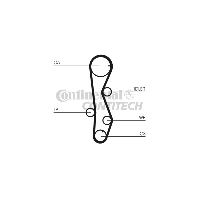 Cinghia/catena distribuzione - CONTITECH