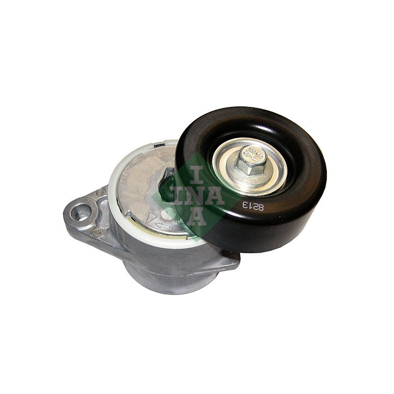 Tendicinghia trapezoidale - INA