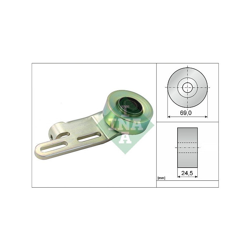 Tendicinghia trapezoidale - INA