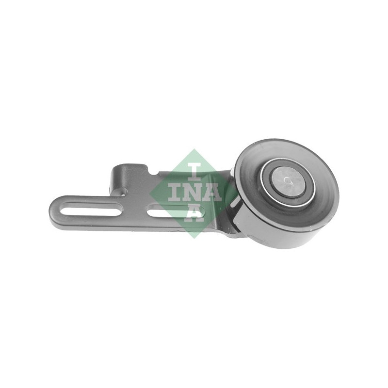 Tendicinghia trapezoidale - INA