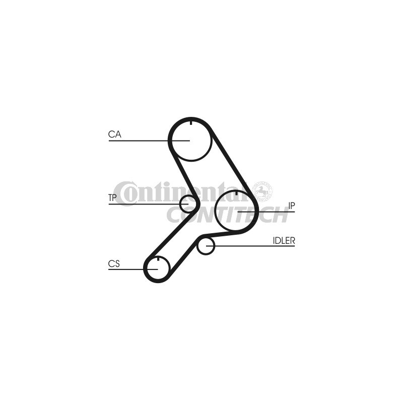 Cinghia/catena distribuzione - CONTITECH