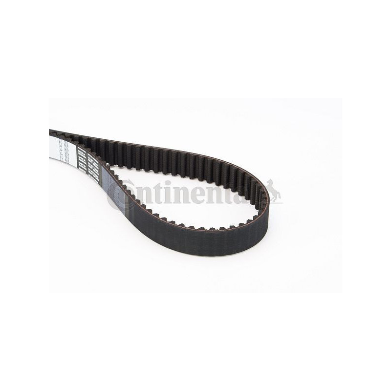 Cinghia/catena distribuzione - CONTITECH