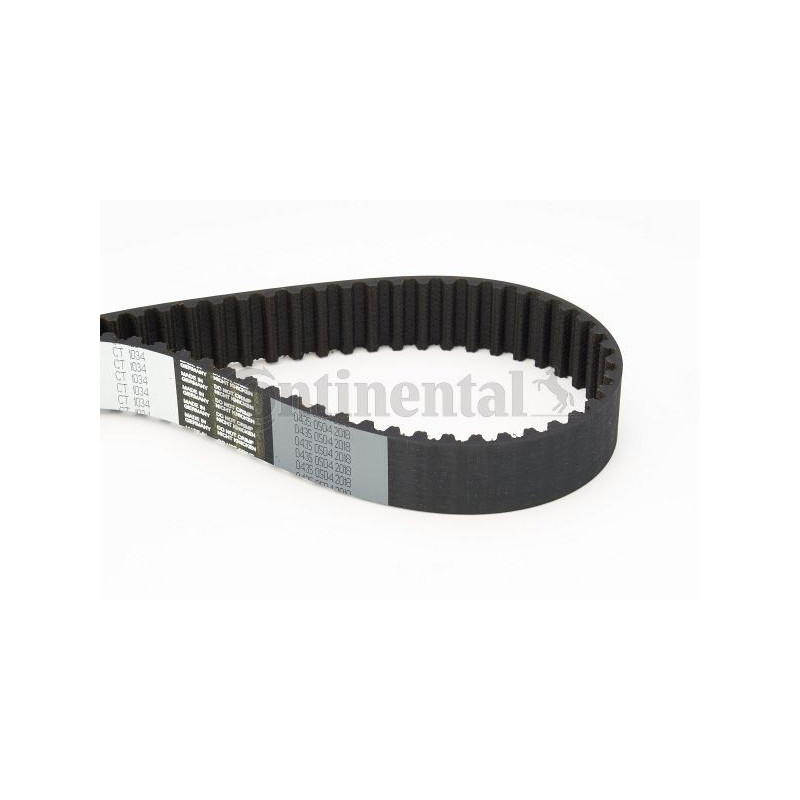 Cinghia/catena distribuzione - CONTITECH