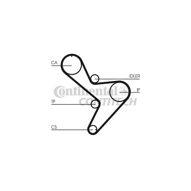 Cinghia/catena distribuzione - CONTITECH