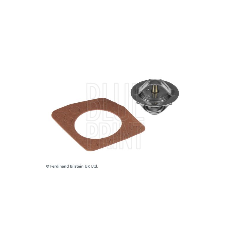 Termostato raffreddamento - BLUE PRINT