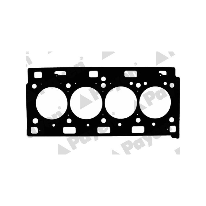 Guarnizione testata - PAYEN