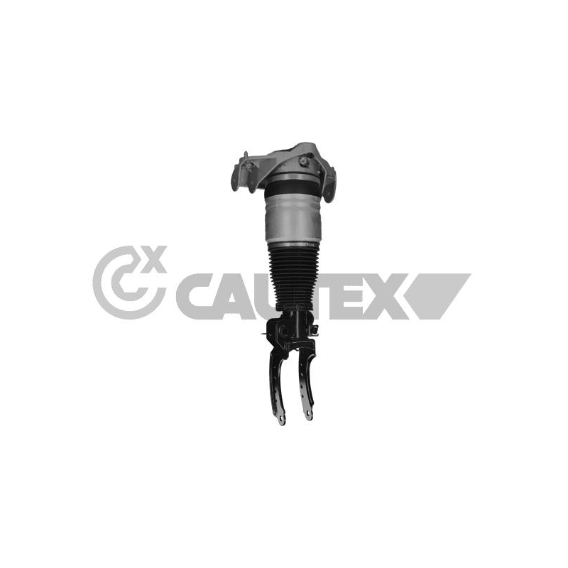 Ammortizzatore asse anteriore - CAUTEX GOMMA E PARTI MOTORE