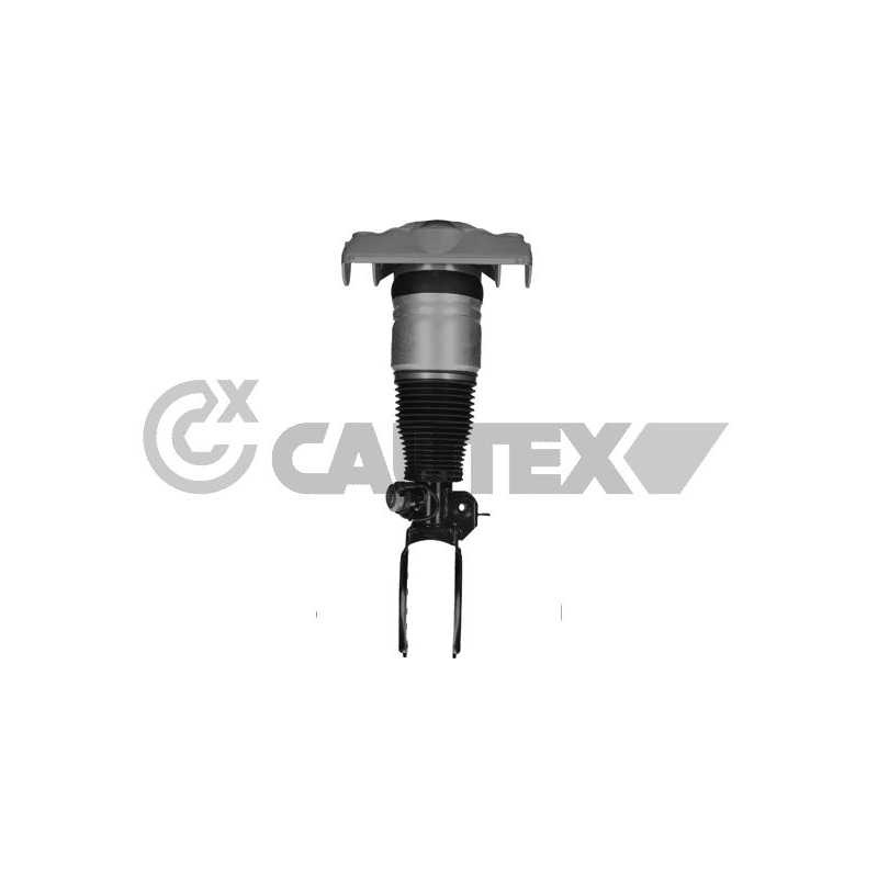 Ammortizzatore asse anteriore - CAUTEX GOMMA E PARTI MOTORE