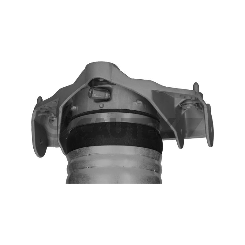 Ammortizzatore asse anteriore - CAUTEX GOMMA E PARTI MOTORE