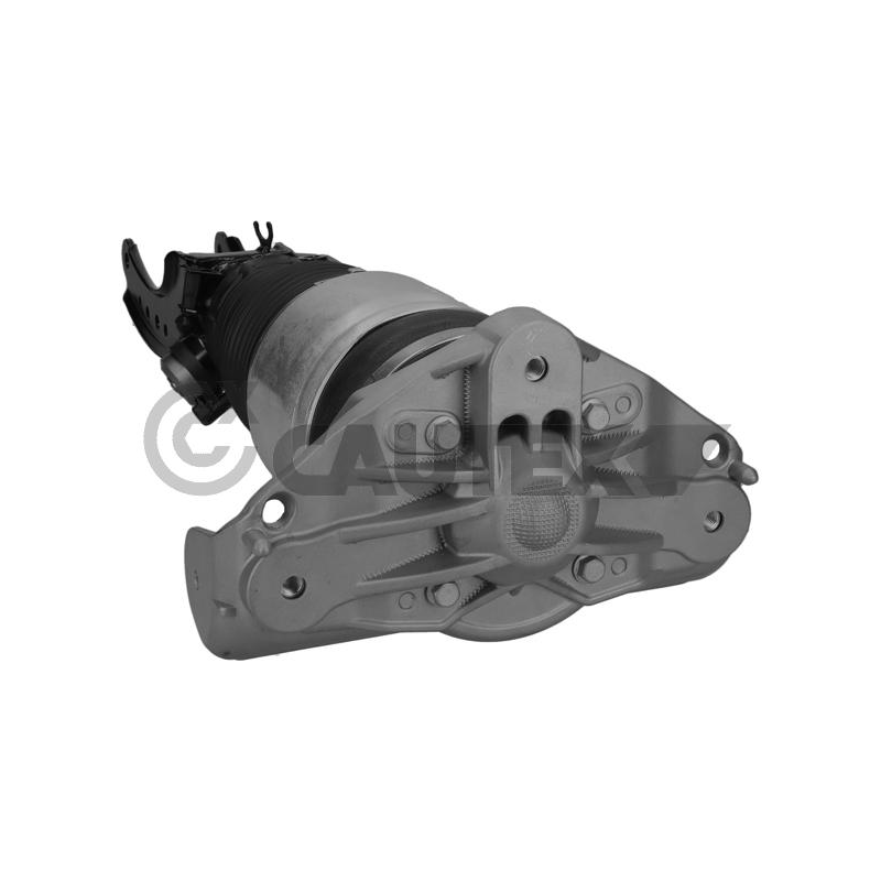 Ammortizzatore asse anteriore - CAUTEX GOMMA E PARTI MOTORE