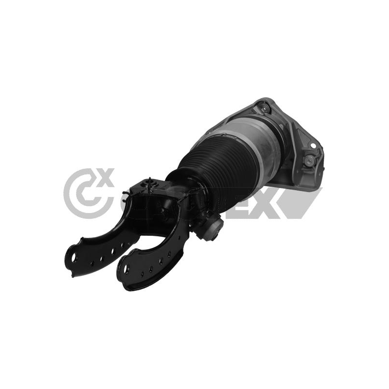 Ammortizzatore asse anteriore - CAUTEX GOMMA E PARTI MOTORE