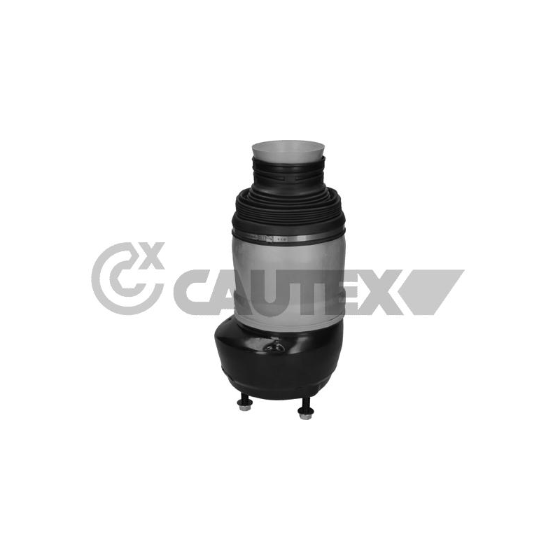 Ammortizzatore asse anteriore - CAUTEX GOMMA E PARTI MOTORE