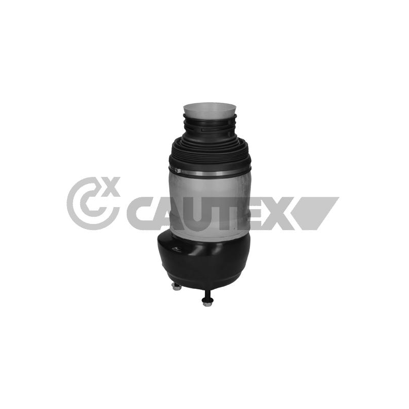 Ammortizzatore asse anteriore - CAUTEX GOMMA E PARTI MOTORE