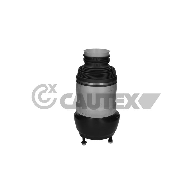 Ammortizzatore asse anteriore - CAUTEX GOMMA E PARTI MOTORE