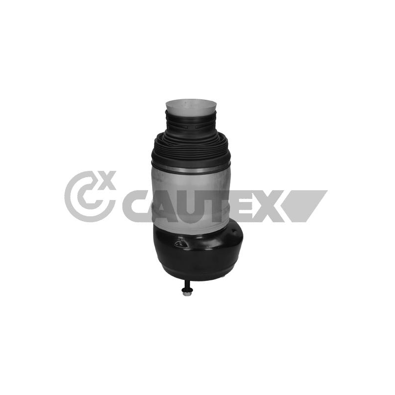 Ammortizzatore asse anteriore - CAUTEX GOMMA E PARTI MOTORE